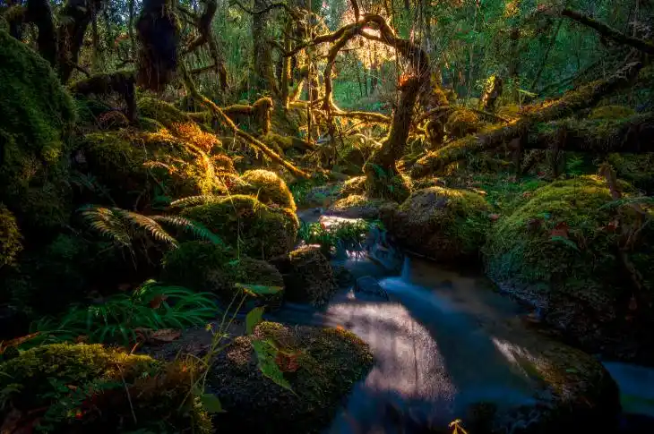 景洪告庄西双景夜市_云南黑暗料理网红打卡店,_鲜辣民族风味傣族美食