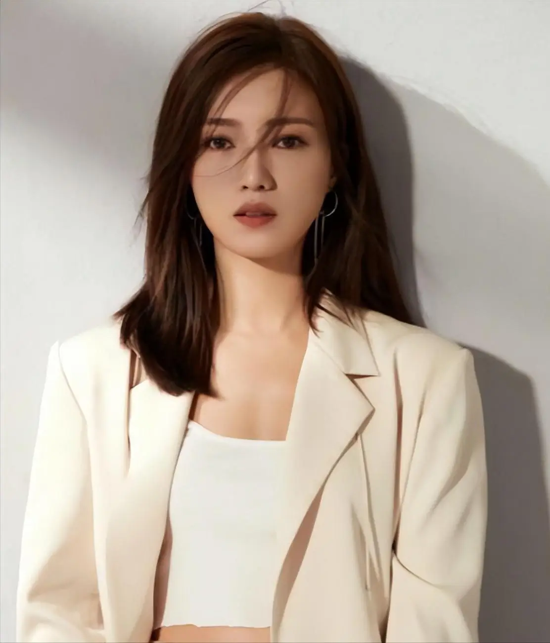 傅晶演技评价_女明星傅晶_猎狐杨建秋演员