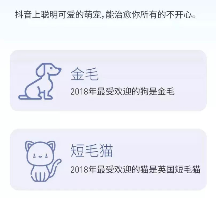 抖音热点明星视频怎么拍摄的,_抖音营销_游乐行业抖音推广